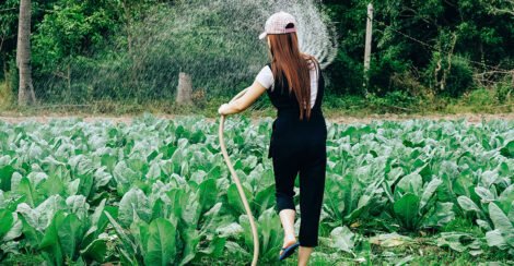Organic and sustainable gift ideas for father’s day